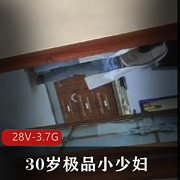 30岁极品小少妇清纯少妇致命YH [28V-3.7G]