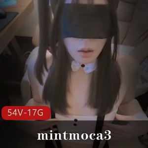 OnlyFans大雕TS-mintmoca3合集54V-17G涂油女孩前列腺冲击隆球下载